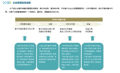 企业管理咨询